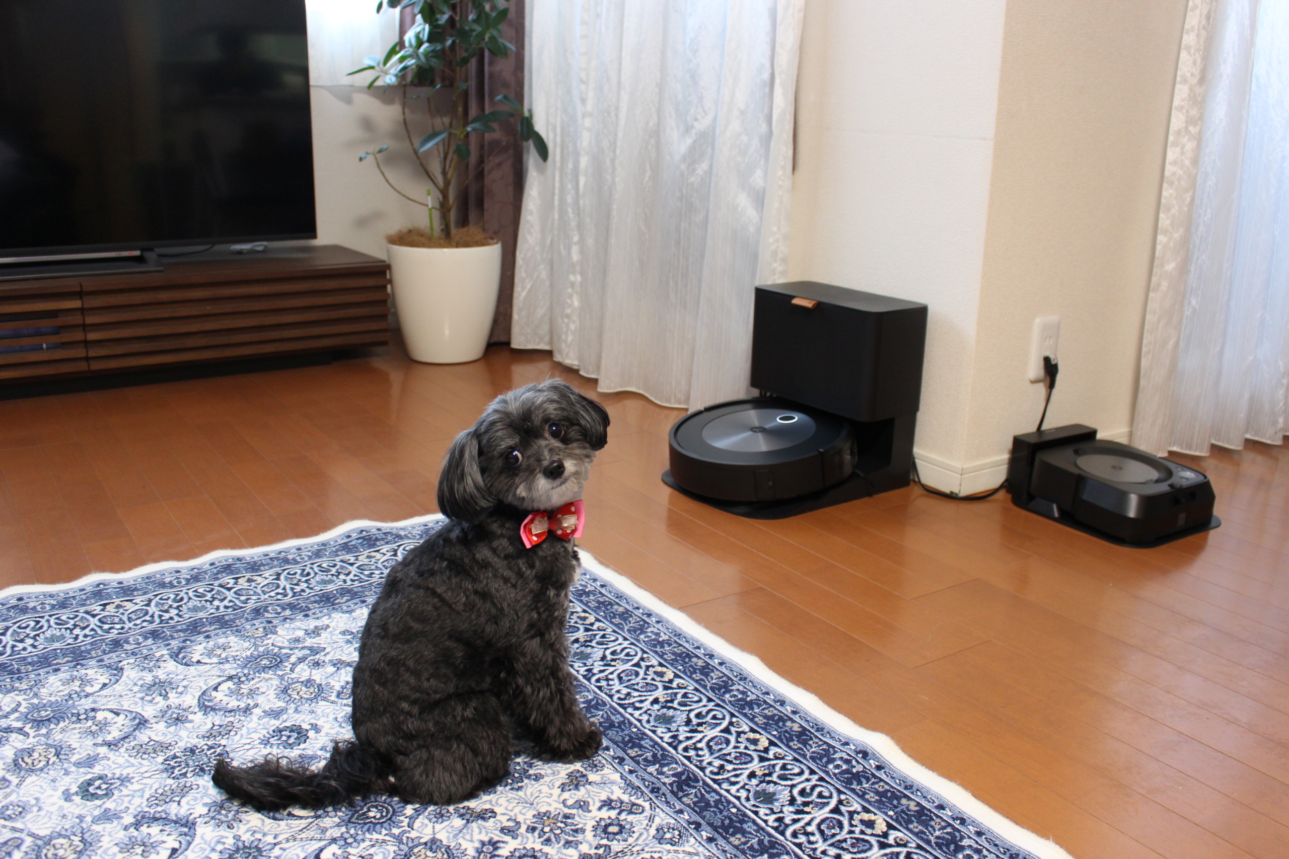 【メーカー記事】iRobot・ルンバj７＋のレビューがメーカーサイトに掲載